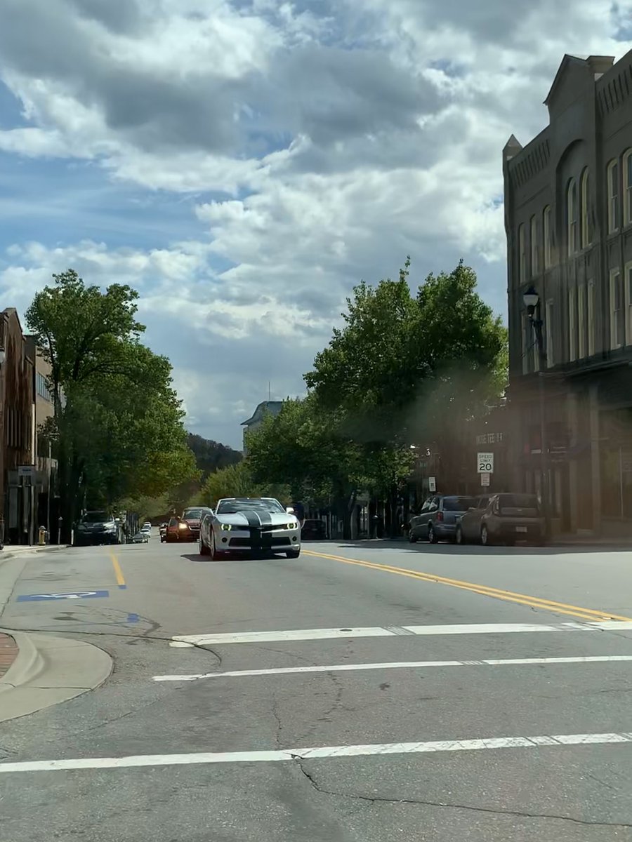 AndrewBrantley2's tweet photo. Monocultures of trees in cities are susceptible to fungi and parasites that can infect one individual and quickly spread, killing mass amounts of trees very quickly. An example of this being Dutch Elm Disease, vectored by the Elm Bark Beetle. #DavidsonUrbanEcology https://t.co/z2wbZ2H1W4