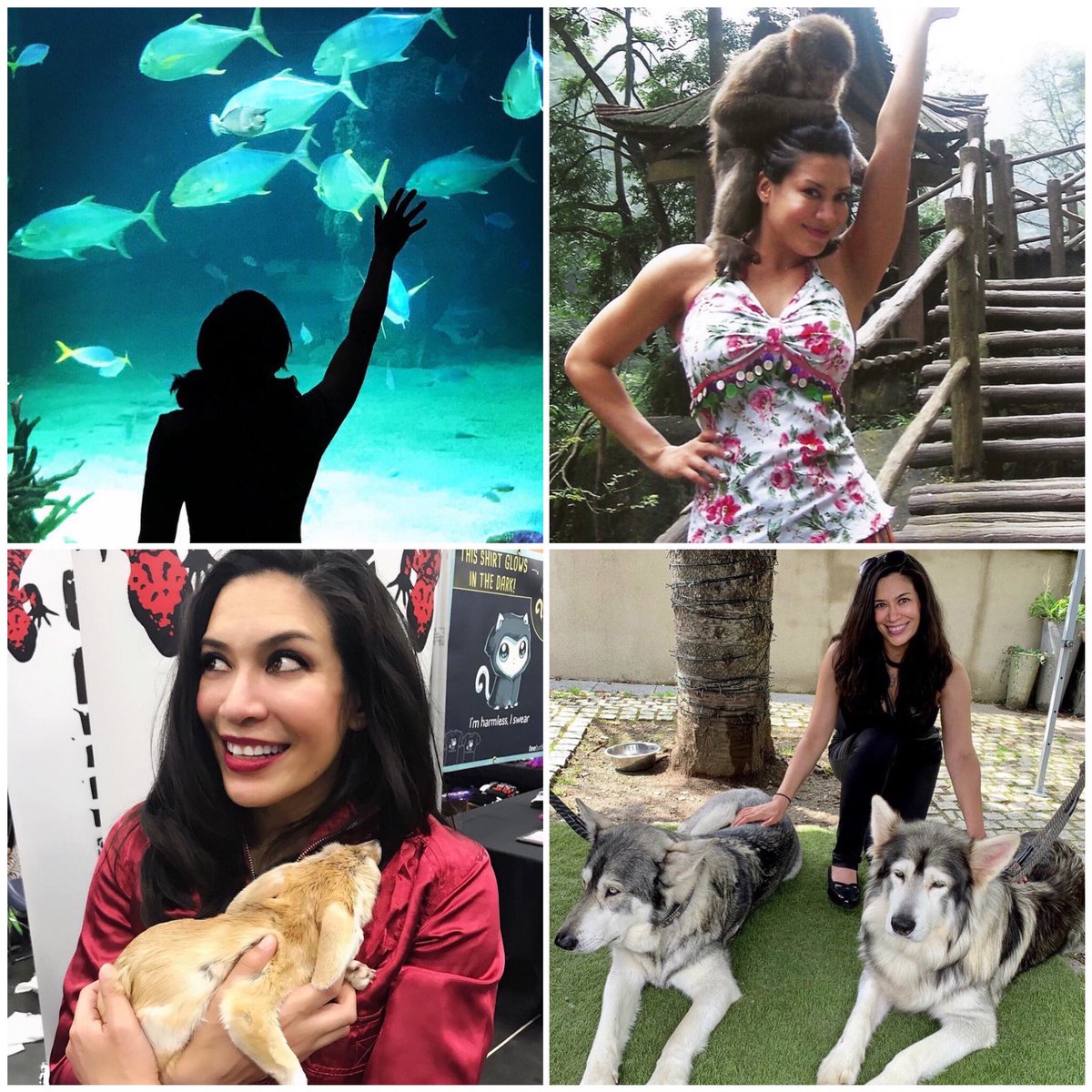 I wish I could spend more time showing love and admiration for the animals of this world. I’d give them all happy homes and the space they need to roam around and live how they should.