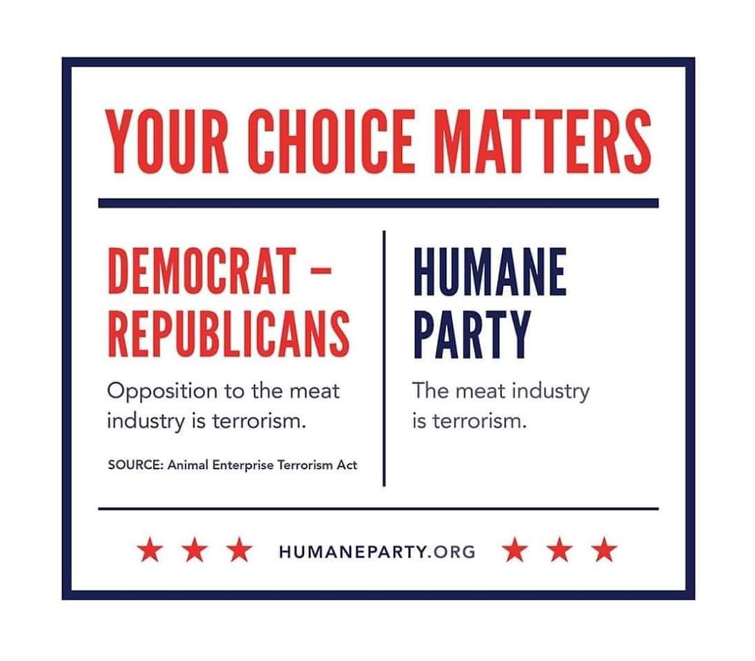curespyder13's tweet photo. #VoteHumaneParty #CliftonRoberts2020 #VeganPOTUS #RespectExistenceOrExpectResistance #voteyourconscience @humaneparty @cliftonroberts #GoVegan #AnimalRights #AnimalLiberation #COVID19 https://t.co/qpDRnXYRVh