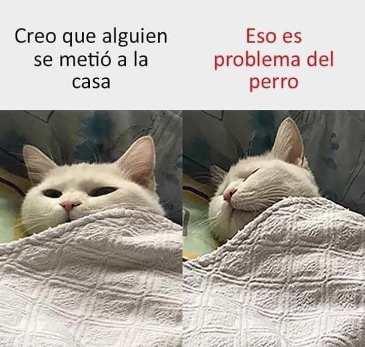 HistGatunas's tweet photo. Desconozco el autor ... 
😄 https://t.co/dqoxJjQHUf
