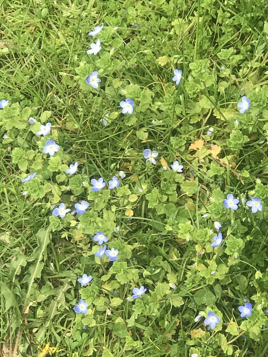 It finally felt like SPRING today!😀💐