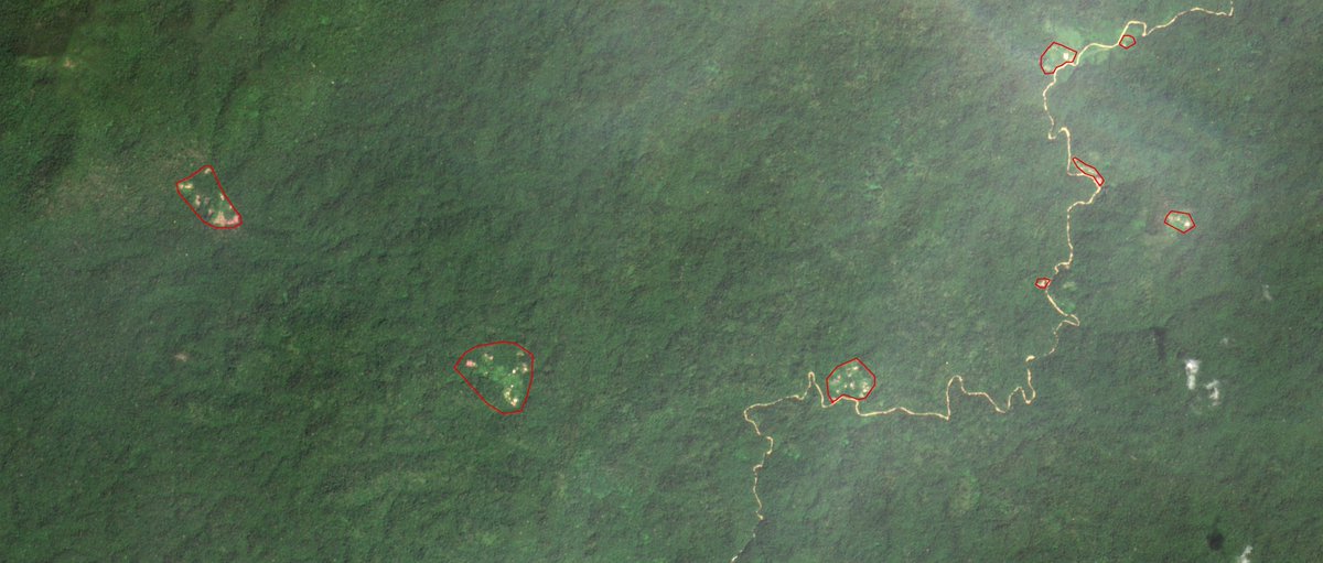 SOSOrinoco's tweet photo. ¡ALERTA! DENUNCIA DE #Yanomami venezolanos: 40 #Garimpeiros (mineros brasileños) invaden con complicidad de @GNBoficial proximidad de comunidad Yanomami de #Hashimu explotando #OrodeSangre en cabeceras del #Orinoco dentro del Parque Nacional Parima Tapirapecó #ActforAmazonia https://t.co/c3EQ6NXW8X
