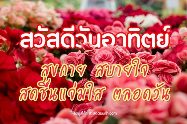 สวัสดีวันอาทิตย์ สดชื่น ร้อนแรง ซาบซ่าน
กุ้ดมอนิ่งนะคะทุกคน 🤟🏻🔥 หนูขอให้วันนี้เป็นวันที่น่ารักนะคะ ตื่นมาแล้วอย่าลืมกินข้าวเช้าด้วยนะ! ใครที่ต้องออกไปข้างนอกก็อย่าลืมใส่แมวกันด้วยนะคะ 🤍🤛🏻