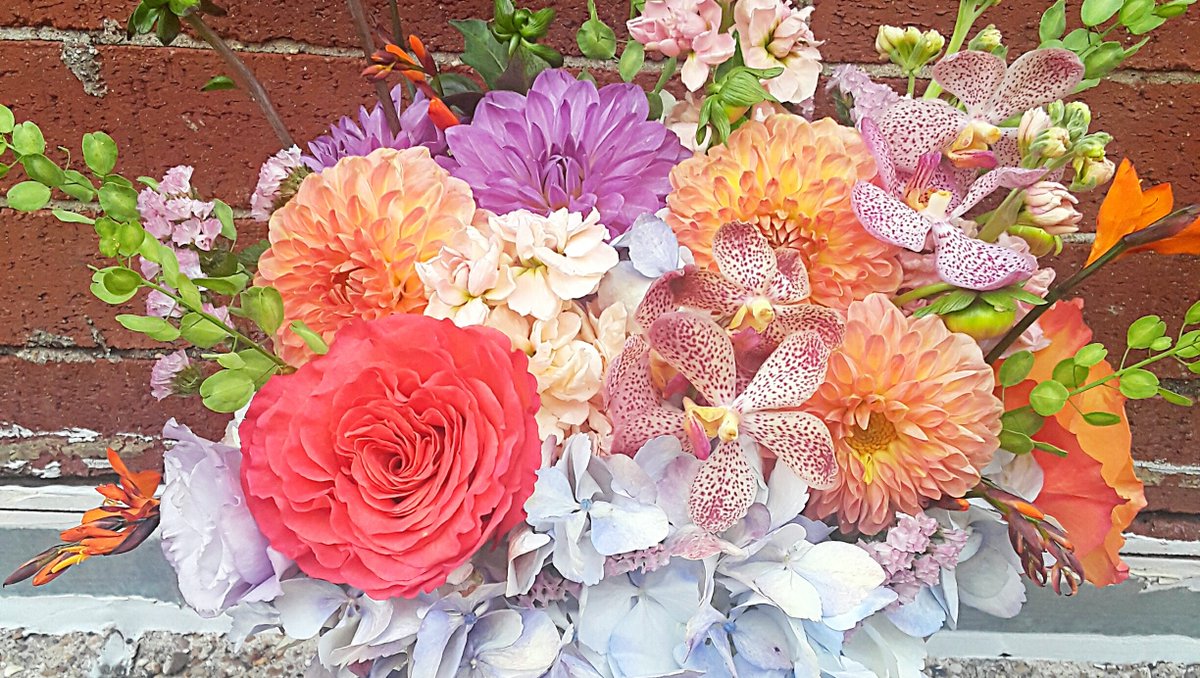 enflowerment's tweet image. This hydrangea was unique- light blue and pink at the same time. It was sooo beautiful! And dahlias, orchids and garden roses don't hurt at all. #nocontactdelivery