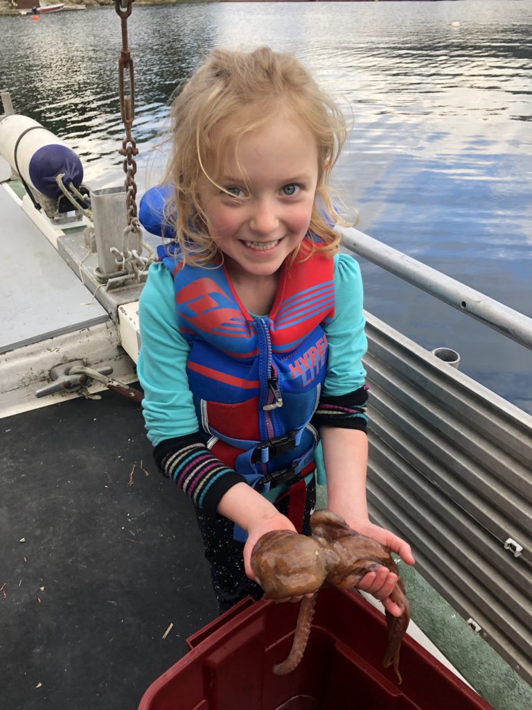 West Coast Wild Scallops on Twitter "Don’t worry. They still became