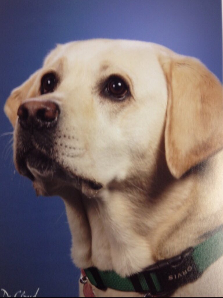 FS Journalism tweet media