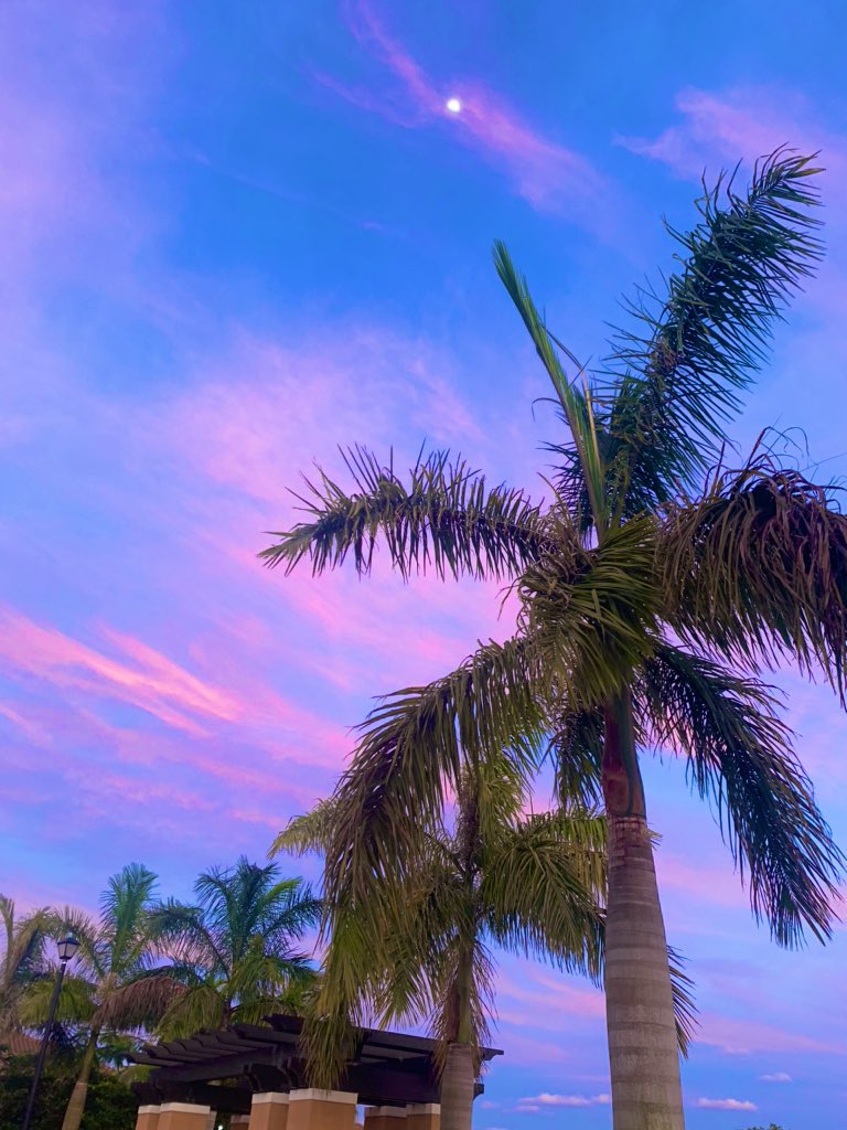 lilolered's tweet photo. Quarantined in paradise 🌴🌙 https://t.co/a24OMLEQr5