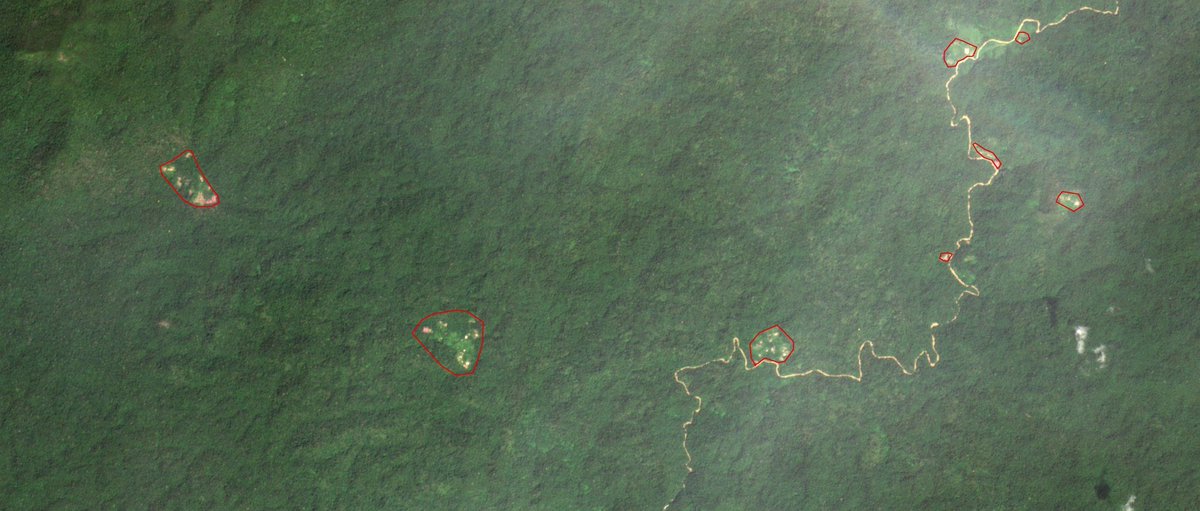SOSOrinoco's tweet photo. ATTENTION! Venezuelan #Yanomami denounce invasion - with complicity of National Guard @GNBoficial - by 40 Brazilian #Bloodgold miners #garimpeiros of territory close to #Yanomami community #Hashimu in headwaters of #Orinoco River, Parima Tapirapecó National Park #ActforAmazonia https://t.co/UWVSuCyxt9