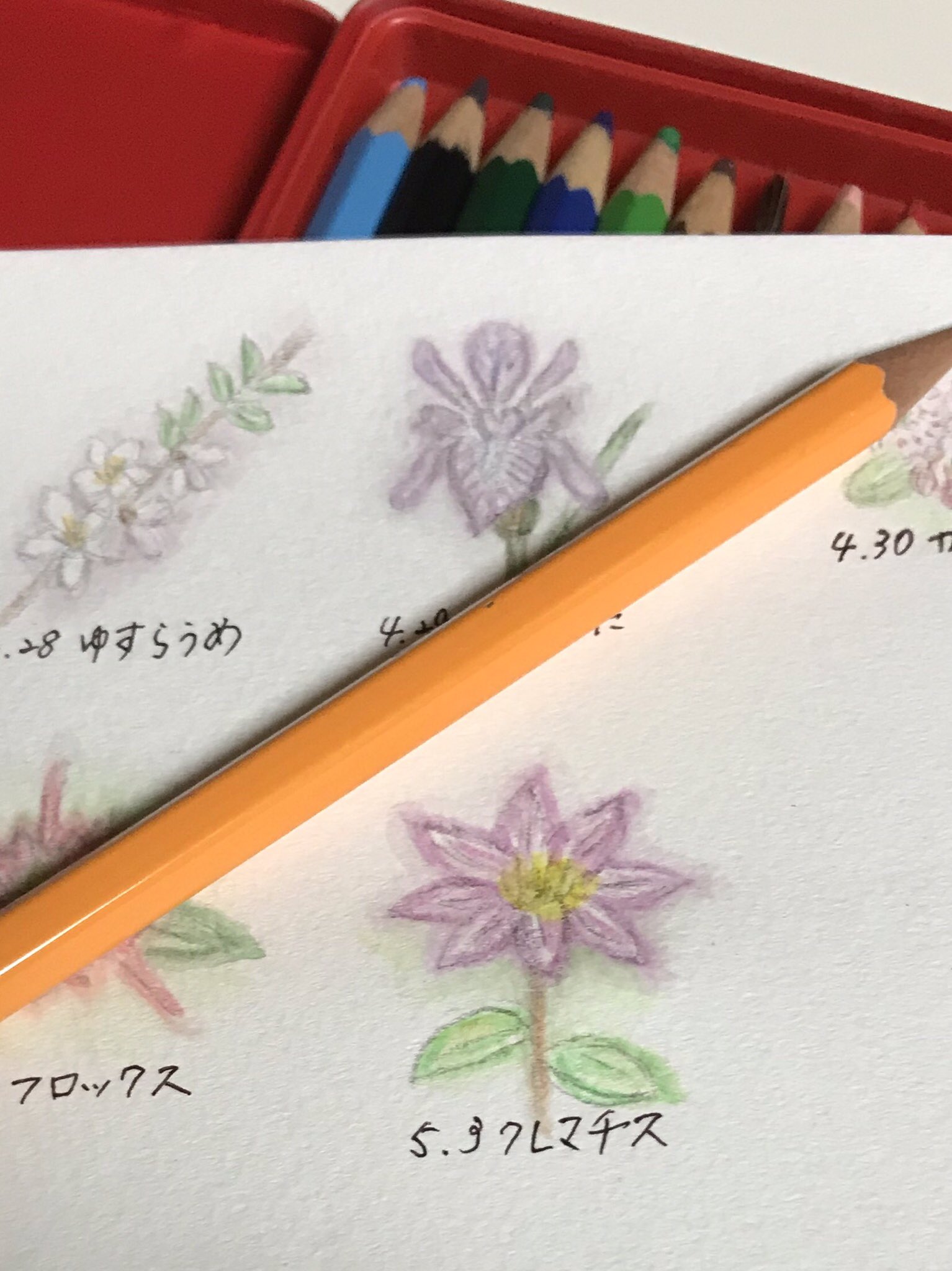Atelier M Birthday Flowers 5月3日の誕生花は クレマチス 花言葉は 美しい精神 策略 など お誕生日の皆さん おめでとうございます クレマチスはつる性の多年草 クレマはギリシャ語で つる という意味 5月3日誕生日 誕生花