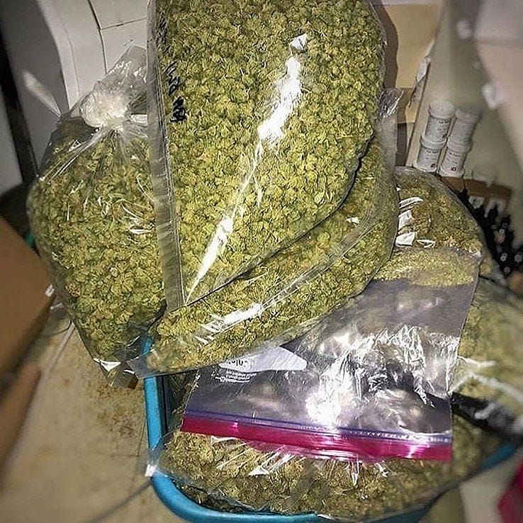 ScottAn34458370's tweet photo. It's been a busy week satisfying my clients. #1 priority #prop215 #soilgrown #colas #harvest #gardening #farming #kronic #wax #shatter #haze #oil #distillate #marley #khalifa #dank #skunk #puff #dabber #dabrig #silicone #lowestprices #topstrains #premium #bestdeals #ferndale https://t.co/BtKSR4dAMx