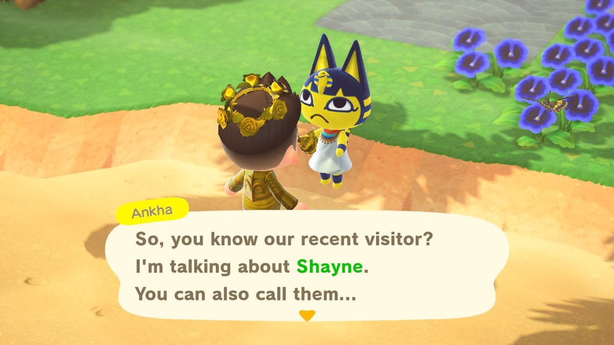 DamienHaas's tweet photo. Really, @supershayne?? You've got a lot of nerve coming to my island and talking to a GOLDEN. CAT. #ACNH https://t.co/g5L8ONHB6x