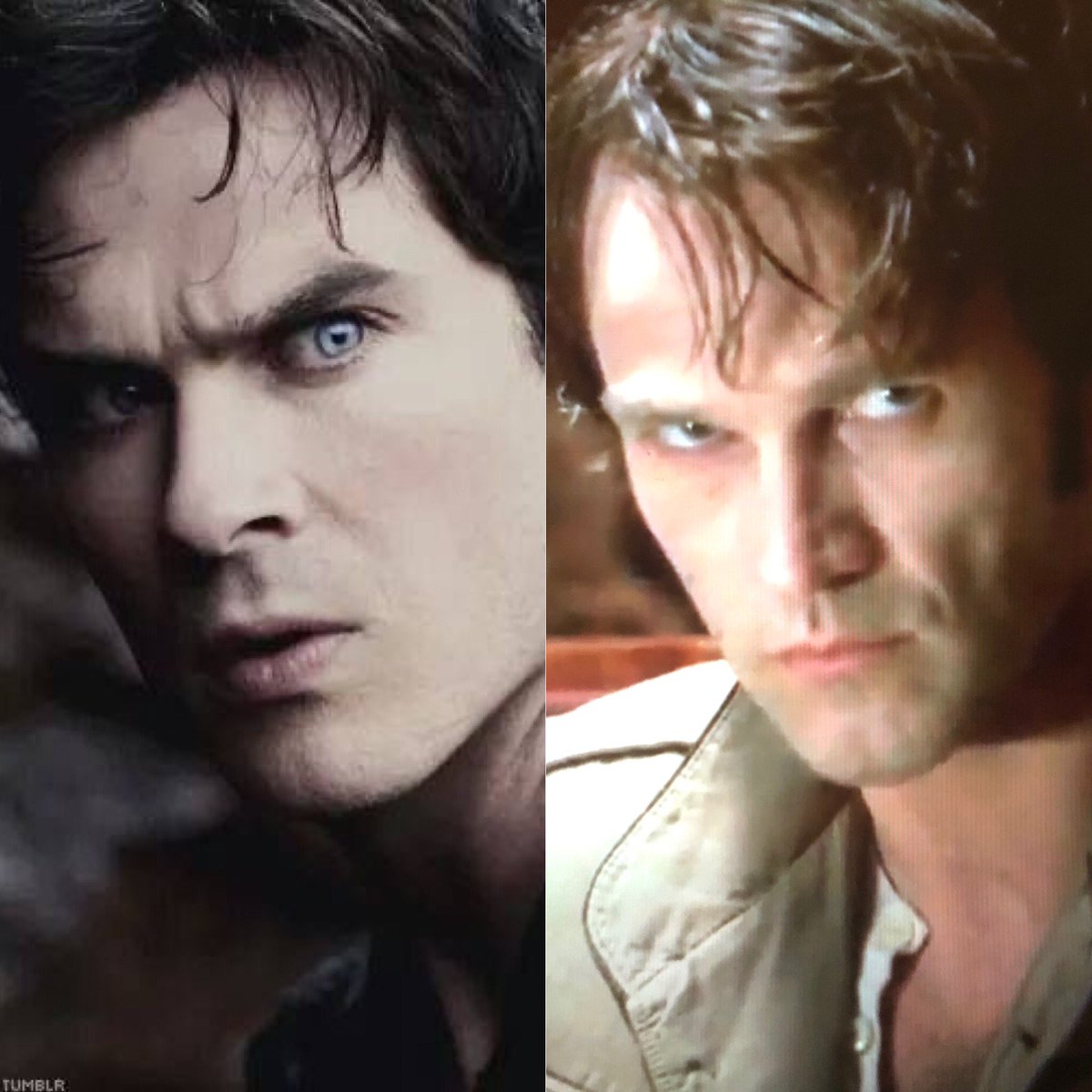 AlexCalpagiu's tweet photo. Thought this vampire from Vampire Diaries had a resemblence to this vampire. kinda funny https://t.co/ea4KOBCldv
