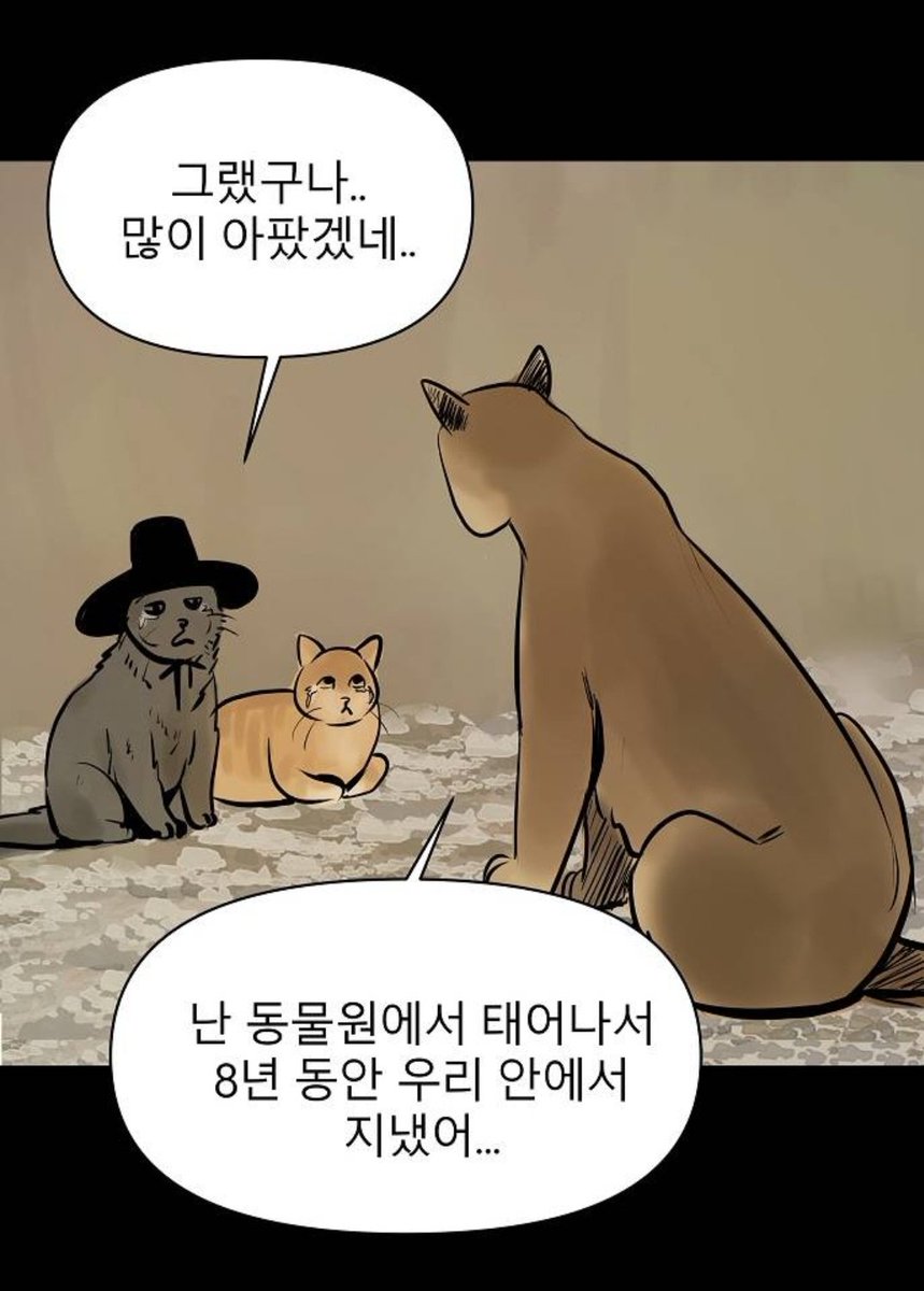 퓨마 뽀롱이
14화는 퓨마 뽀롱이의 이야기입니다. 
아래의 링크로 들어가시면 볼 수 있습니다 :)
감사합니다~
naver.me/5oOTiMlg