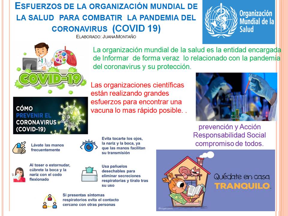 Juana Montaño tweet media