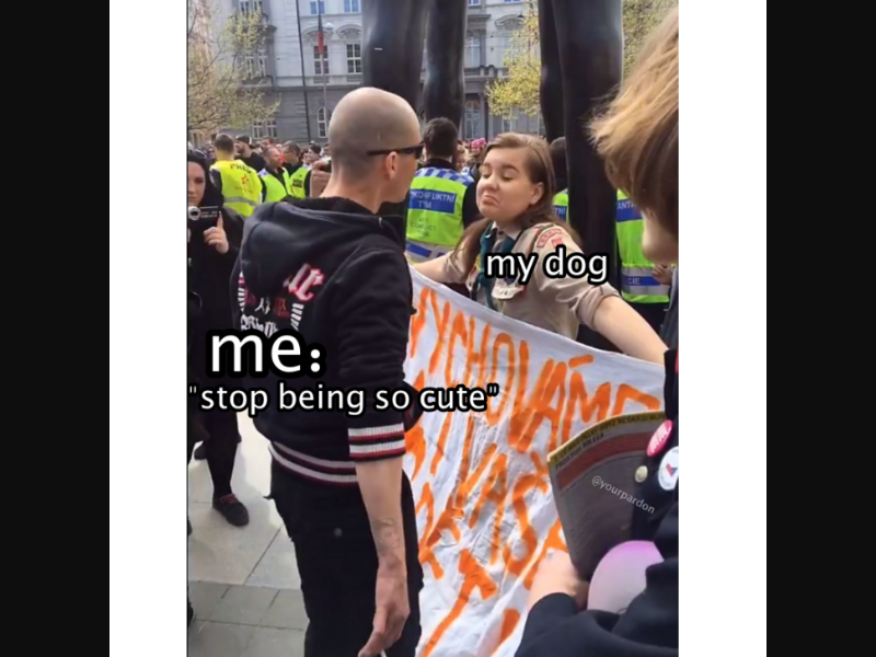 Mr_Memester_'s tweet photo. #defiant #memes #mrmemester #dank #memes2020 https://t.co/EY7mTZjTM0