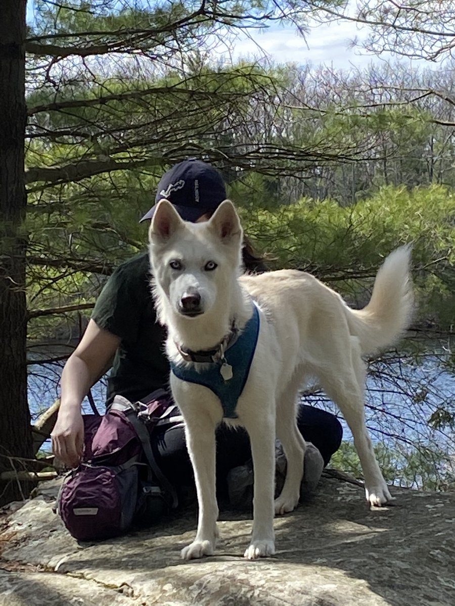 FuckingShred's tweet image. #crackdog #sheddingszn