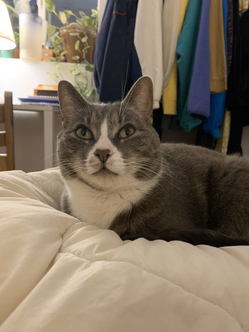 Watch Autumn's leaked NSFW photo on TwXstars