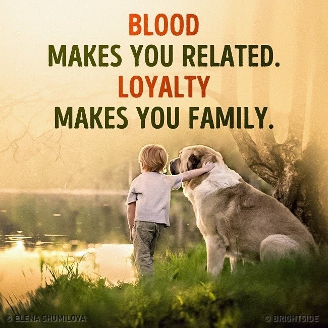 bright_side_me's tweet photo. Agreed?
#brightside #brightgram #picture #family https://t.co/wzLgOKB3yY