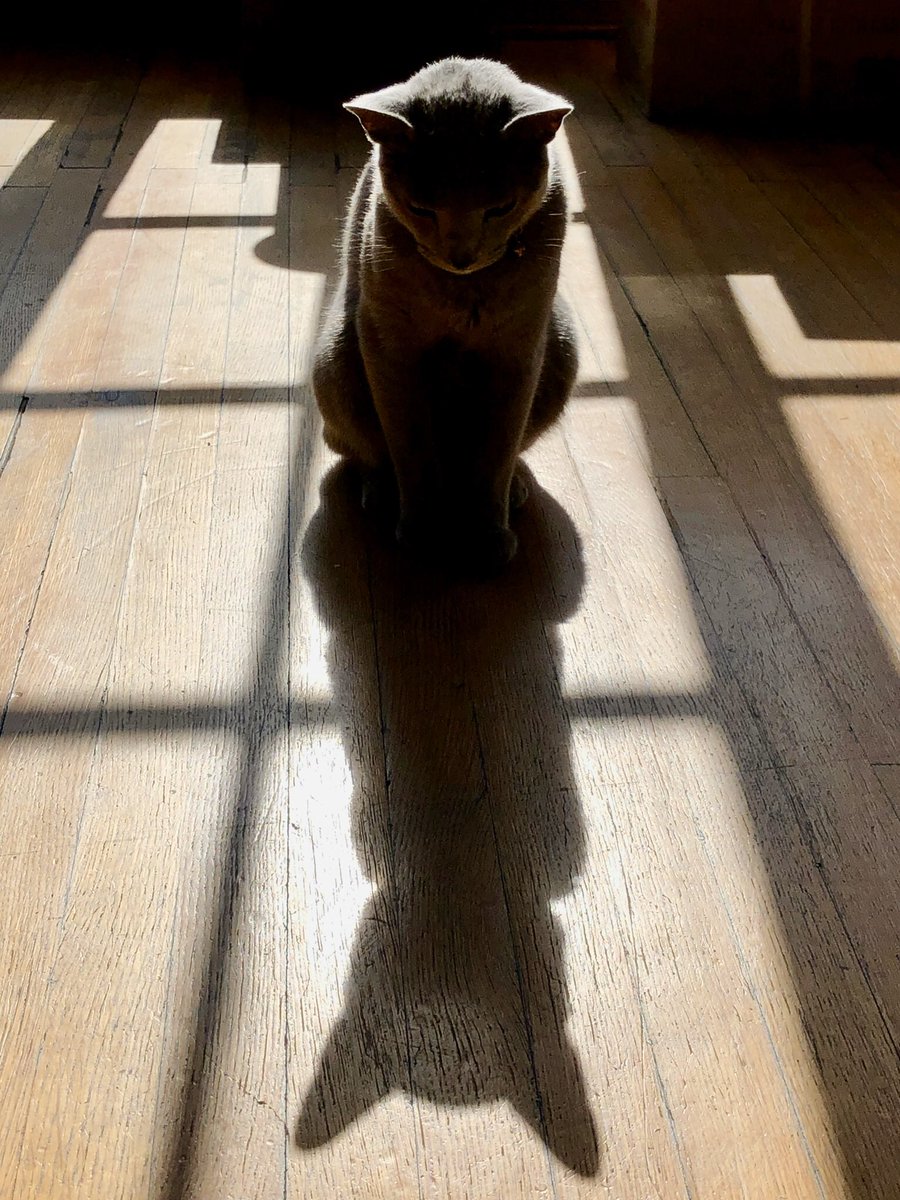 The Infinite Moment 2020