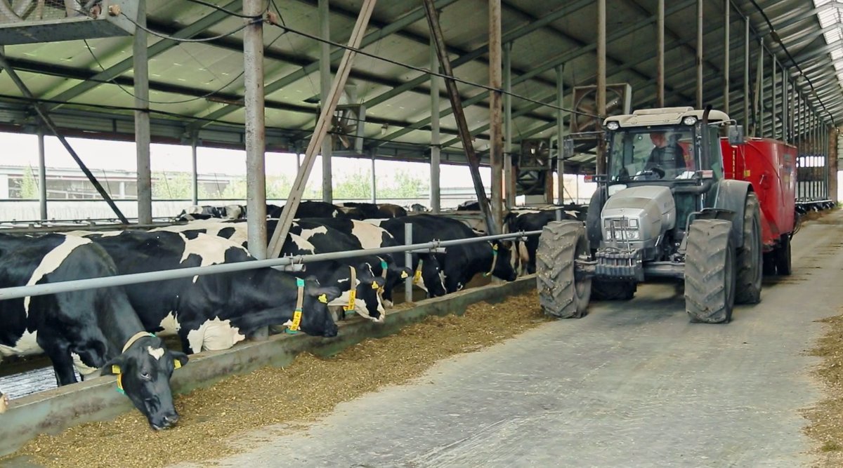 Casi 1200 personas han muerto en accidentes ocurridos en el campo en los últimos 10 años. Muchos de ellos se podrían haber evitado. Nos lo cuentan <a href="/PabloMunozCa/">Pablo Muñoz</a> y <a href="/monclusjesus/">Jesús Monclús</a> de la <a href="/fmapfre/">Fundación Mapfre</a>