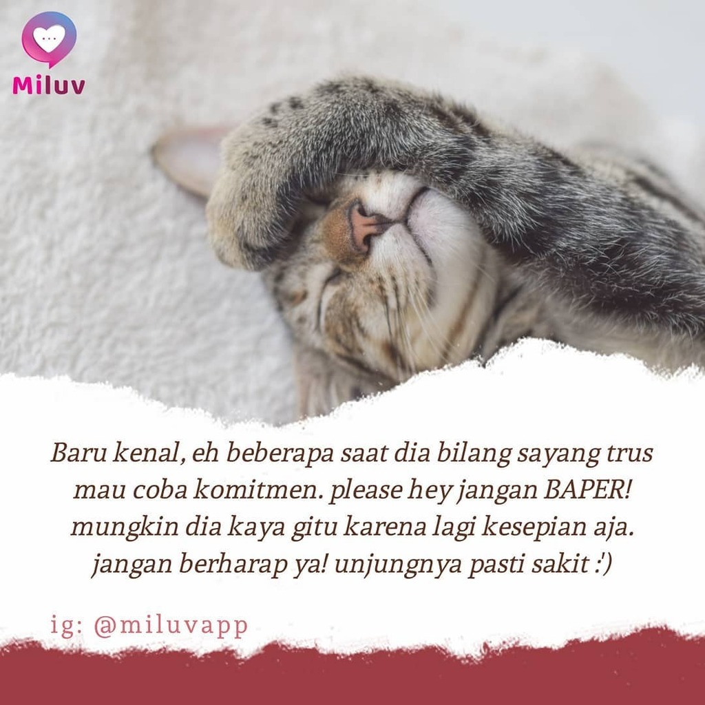 miluvapp's tweet photo. Percaya deh 🥺
.
#miluvapp #satukancinta #sayang #cinta #pasangan #baper #birojodoh #jodoh #kejujuran #ketulusan #cintatanpasyarat #pertemuan #perpisahan https://t.co/ZmUJQuINNQ https://t.co/8p5Eqo0Vt1
