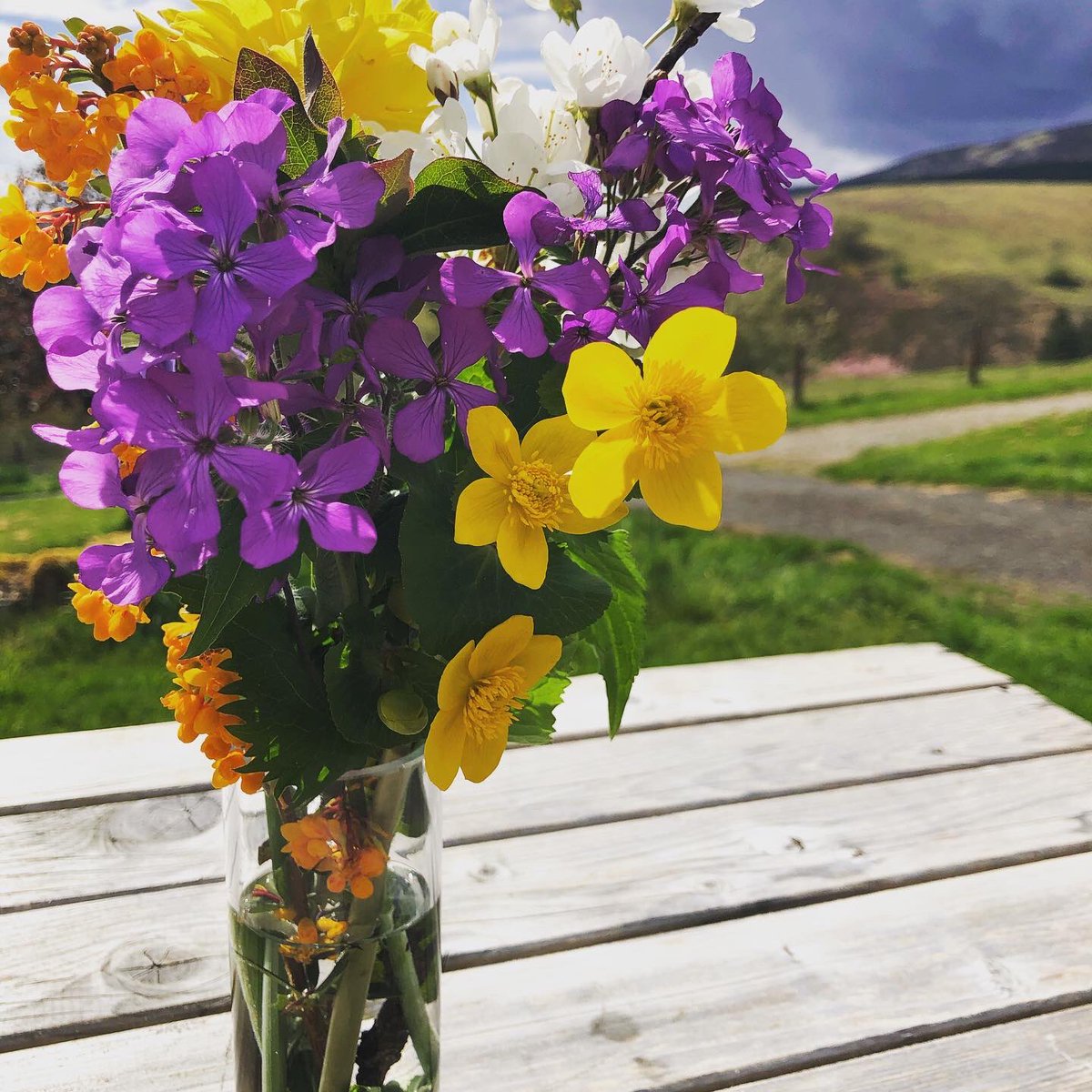 New life, new food, wild flowers. It’s a beautiful time of the year.