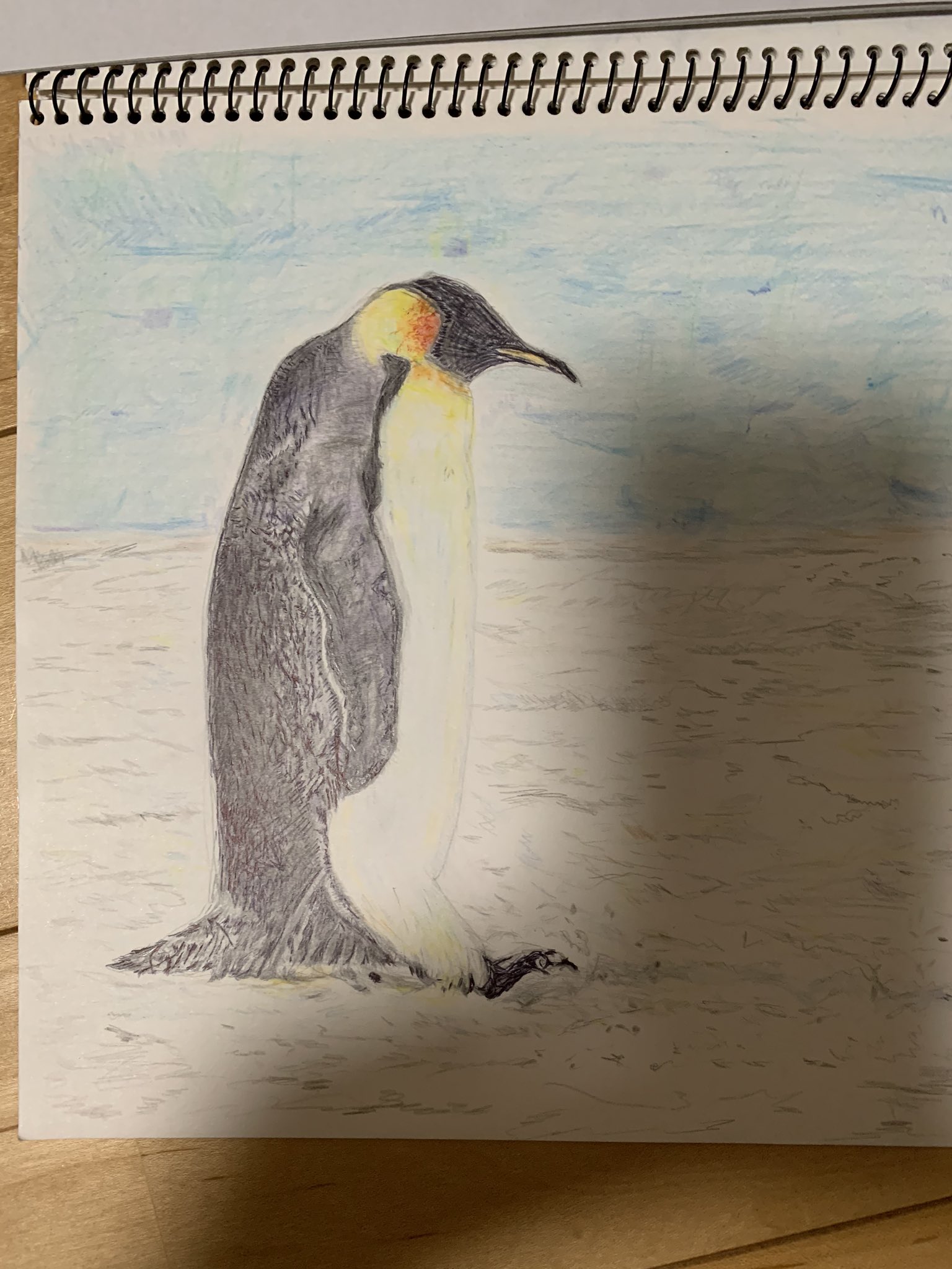 十条沙良 ペンギンの足は長い ペンギン アナログイラスト アナログ Picture イラスト 色鉛筆 エブリスタ T Co 7qlfrvbvcy Twitter
