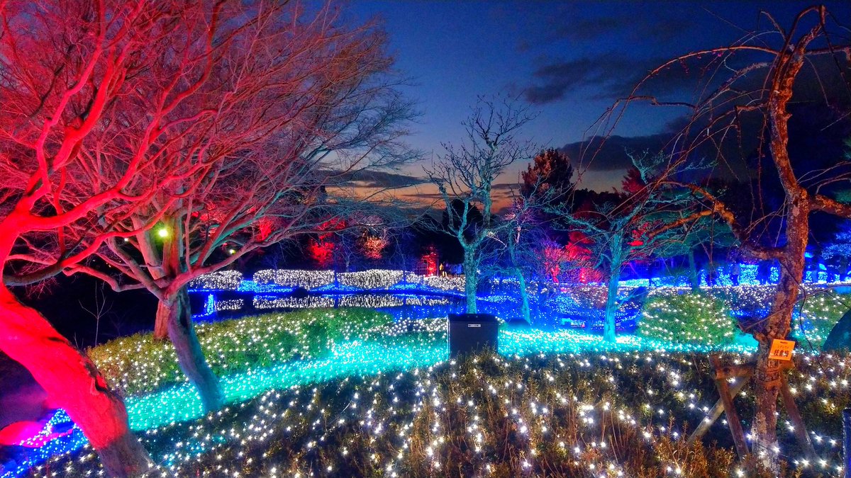 いちくま 彩のプロデューサークン 彩のプロデューサークン 奈良公園のライトアップ は通年やってるわけではありません 冬のなら瑠璃絵か夏のなら燈花会の2つの時期にやっております ちなみにこれはなら瑠璃絵 奈良県の雨彦の瞳のように瑠璃の色をし