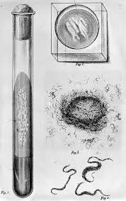 vic_pallares's tweet photo. #CuriosidadesDeLaMedicina

3 mayo 1909.- Paul Ehrlich médico y bacteriólogo alemán (Nobel de Medicina en 1908), anuncia el éxito de su medicamento contra la sífilis; la arsfenamina, más conocido como Salvarsan.

🔗https://t.co/777d0u0GKJ

@SEMERGENap https://t.co/BoQt1Dk6nz