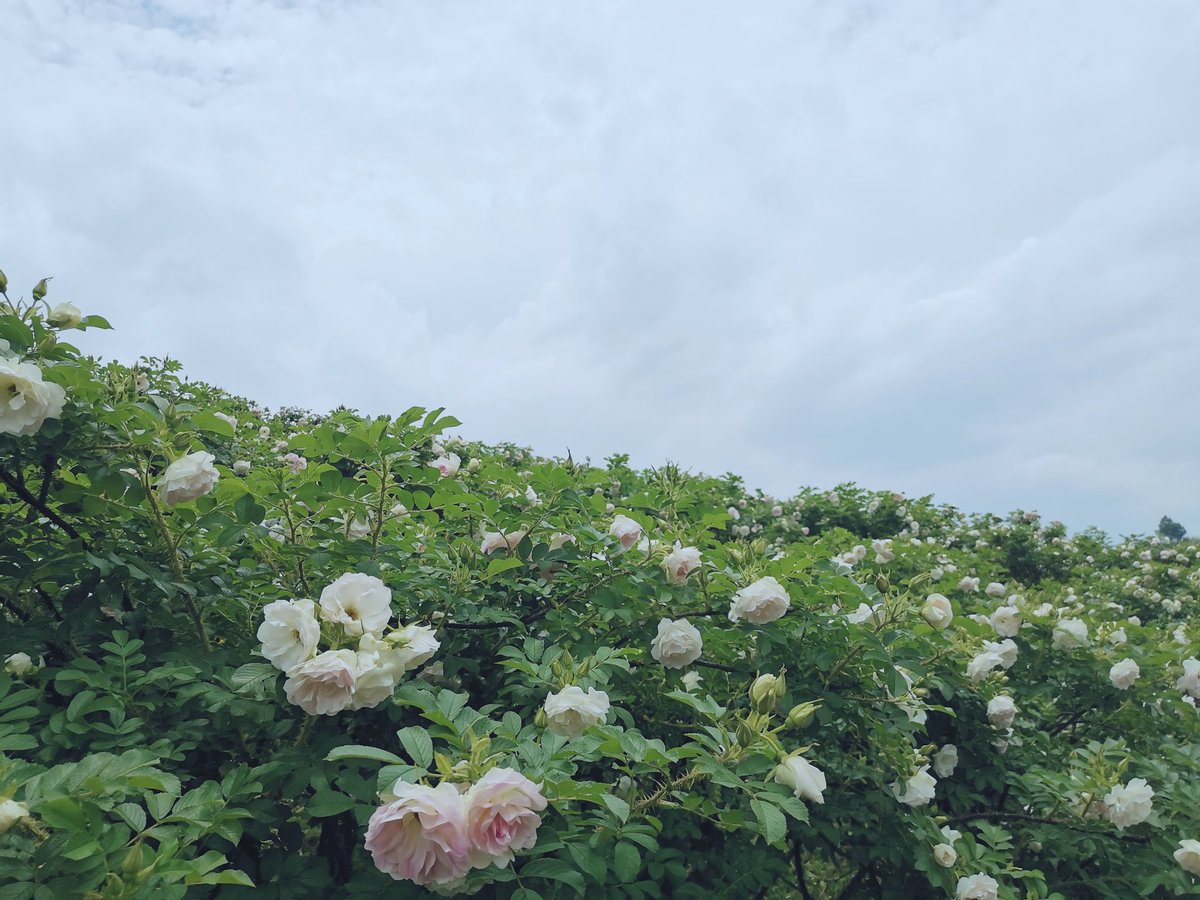 rakkim6's tweet photo. My hometown https://t.co/LlGssM52i9