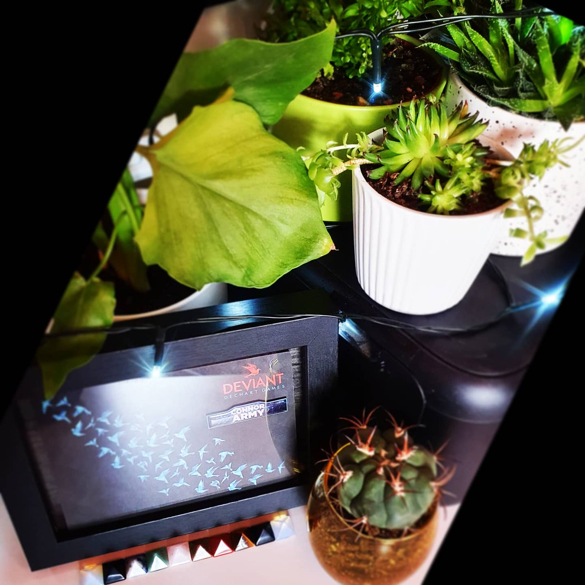 formulajai's tweet photo. My Little Happy Place 💕
|• @BryanDechart @AmeliaRBlaire •|
#ConnerArmy #DechartGames #succulents #ThankYou #Grateful https://t.co/7AxKBssqQV