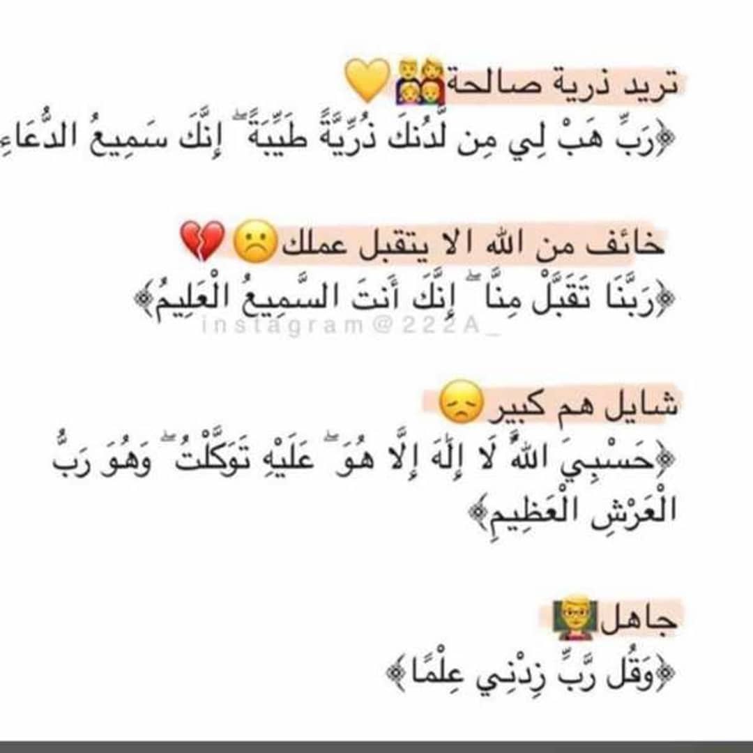 الريان|#النخبوي🏆💚 tweet media