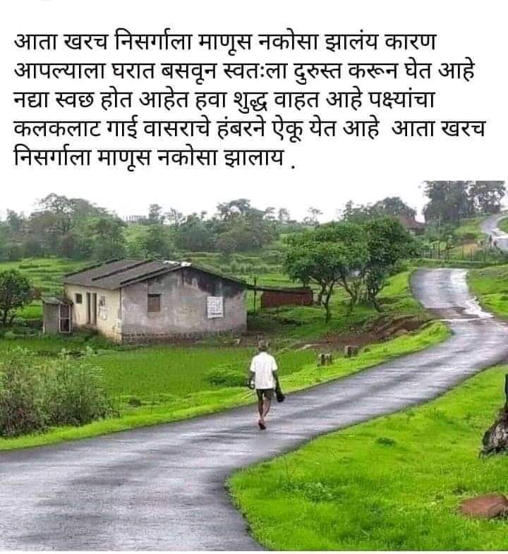 cutiiiapii's tweet photo. #coronavirus #Lockdown3 #COVID__19  #StayHomeStaySafe #environment  @Arohi789 @InspirationQ_3 @prajaktasj https://t.co/oJd9Yxj6hI