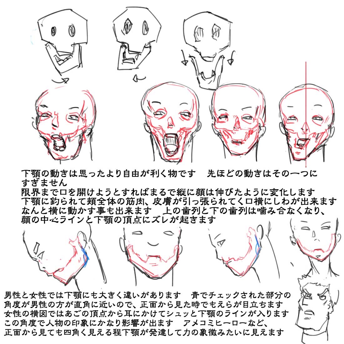 頭部についてのうろ覚えメモ集
#春の創作クラスタフォロー祭り
#絵描きさんと繋がりたい
#芸術同盟 #創作クラスタさんと繋がりたい