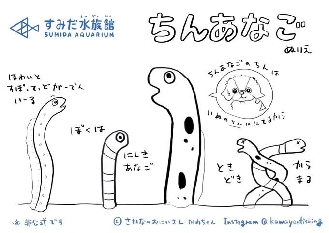 リクエストがあったので #チンアナゴ ぬり絵をどうぞ。
画像を保存して印刷して使ってね?

セブンイレブンのネットプリント?
プリント予約番号「TY3YUC8E」

#お願い人間のこと思い出して 
#休園中の動物園水族館  #すみだ水族館 