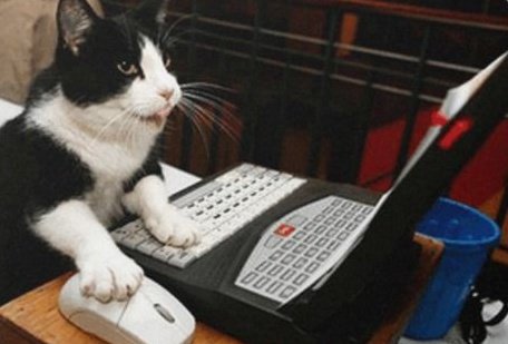 MemesDeGato1's tweet photo. Eu com 13 anos colocando "Data de nascimento : 1957" pra poder usar sites adultos : https://t.co/Su70MbAmoW
