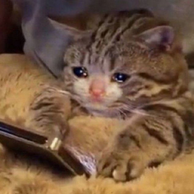 MemesDeGato1's tweet photo. Eis que ele visualiza mas não responde : https://t.co/QkpCdGUPLw