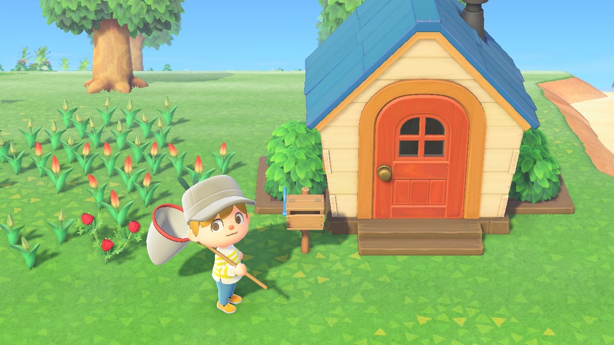 yoshi_noya's tweet photo. #どうぶつの森 #AnimalCrossing #ACNH #NintendoSwitch https://t.co/VLilh0SX7I