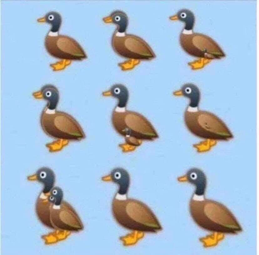 Scott Baio tweet media