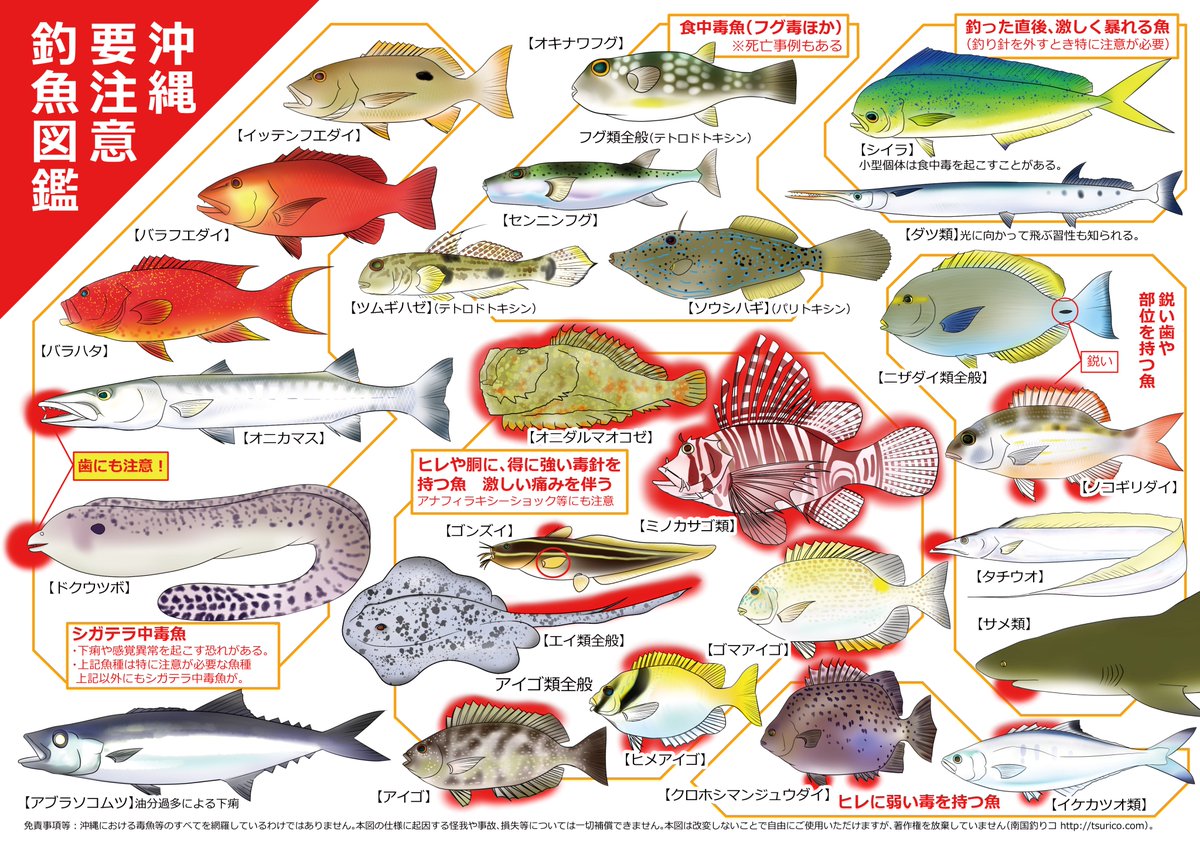 モソ 沖縄釣り漫画 仲西ヘーイと ひよっこ釣りガール 原稿中 沖縄の釣魚で 毒魚とか注意したほうが良い魚がまとめられている資料が少ないので描いてみた 条件付きでフリー素材となります 後ほどサイトにpdf版もupします T Co Blhrdktllh