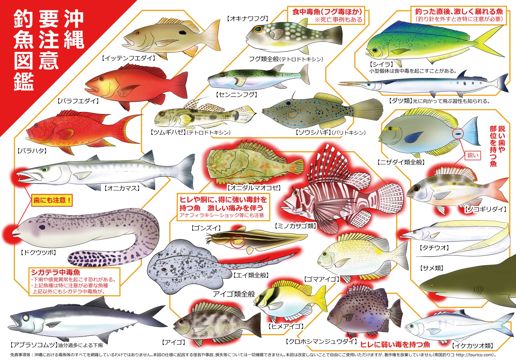 モソ 沖縄釣り漫画 仲西ヘーイと ひよっこ釣りガール 原稿中 沖縄の釣魚で 毒魚とか注意したほうが良い魚がまとめられている資料が少ないので描いてみた 条件付きでフリー素材となります 後ほどサイトにpdf版もupします T Co Blhrdktllh