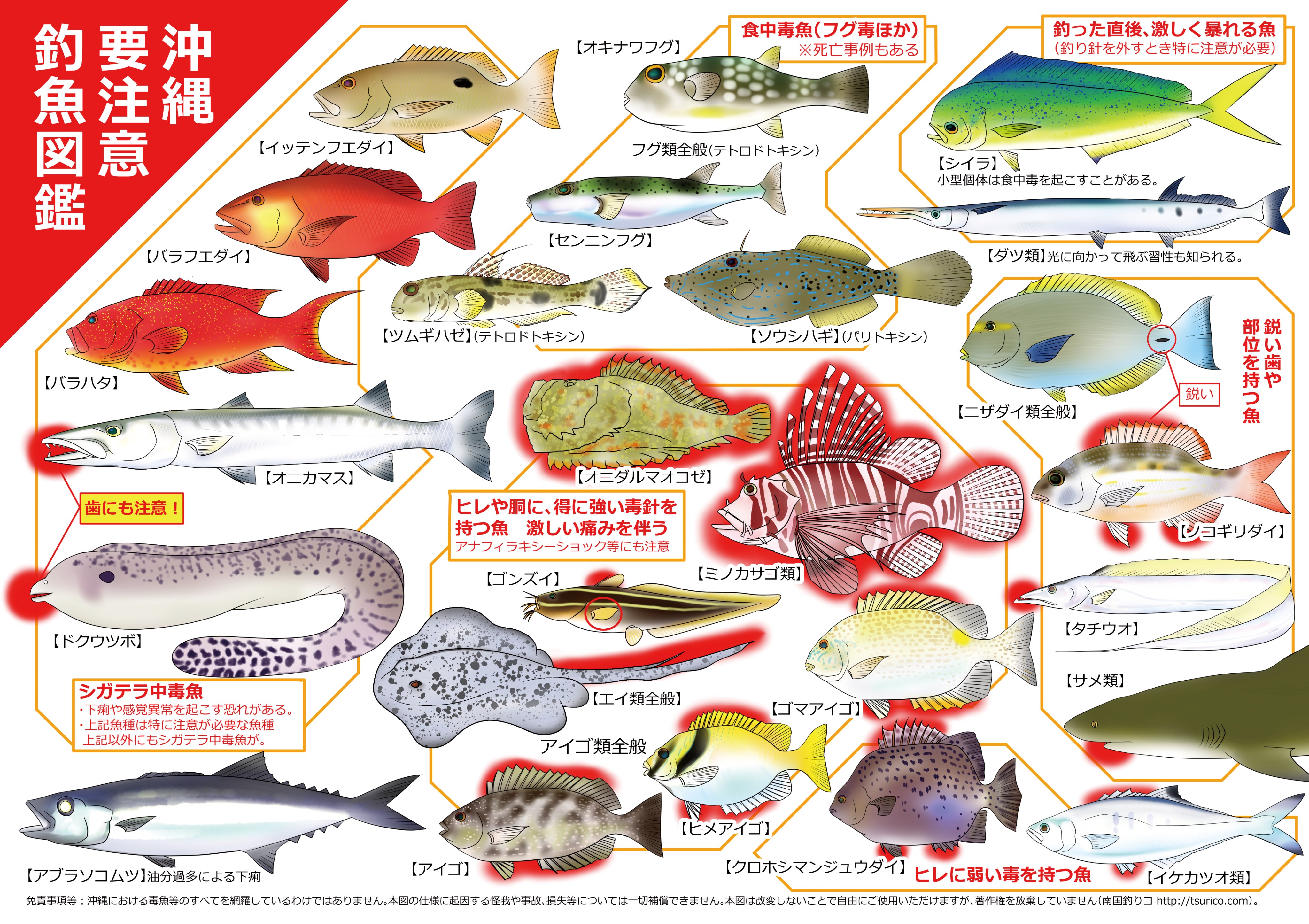 モソ 沖縄釣り漫画 仲西ヘーイと ひよっこ釣りガール 原稿中 沖縄の釣魚で 毒魚とか注意したほうが良い魚がまとめられている資料が少ないので描いてみた 条件付きでフリー素材となります 後ほどサイトにpdf版もupします T Co Blhrdktllh
