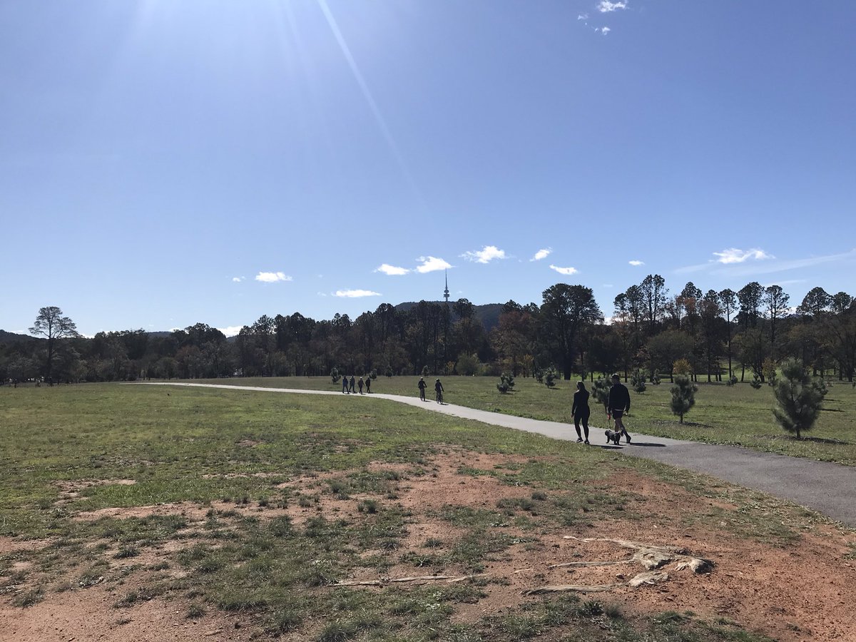 mjhamada's tweet photo. Another blue sky, sunshine filled long run around Lake Burley Griffin #canberra #ironman703 #irunlikeagirl  #training #everyday #triAG  @AthleticGreens @audible_com @Nike https://t.co/1RVZtqrWKf