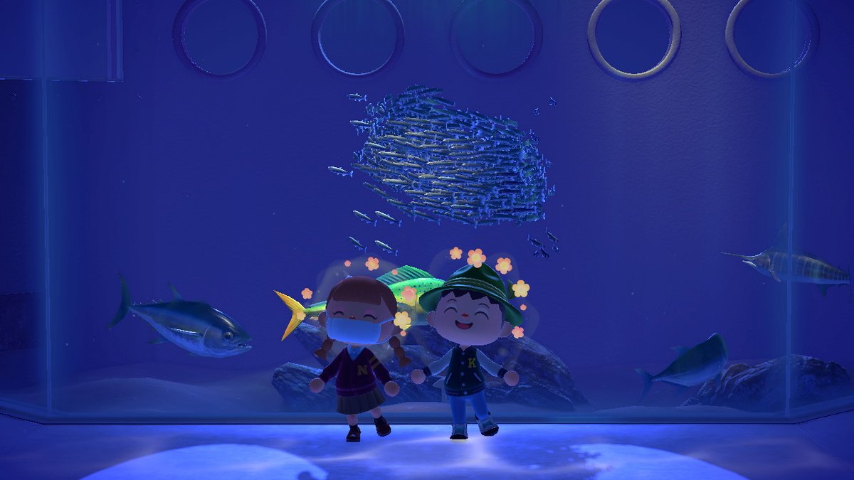 itatataaa's tweet photo. 水族館デートたのしす
 #どうぶつの森 #AnimalCrossing #ACNH #NintendoSwitch https://t.co/D4xCIYSs4X