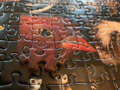 lisabach's tweet photo. This is now the 2nd time that we've had a puzzle from @RavensburgerNA with missing pieces. Mind blown as it also had a duplicate piece! HUGE #puzzlefail @joelsartore #99animals We loved it but now are extremely disappointed. #nevercomplete #fallingtopieces https://t.co/E72MFx0WEg