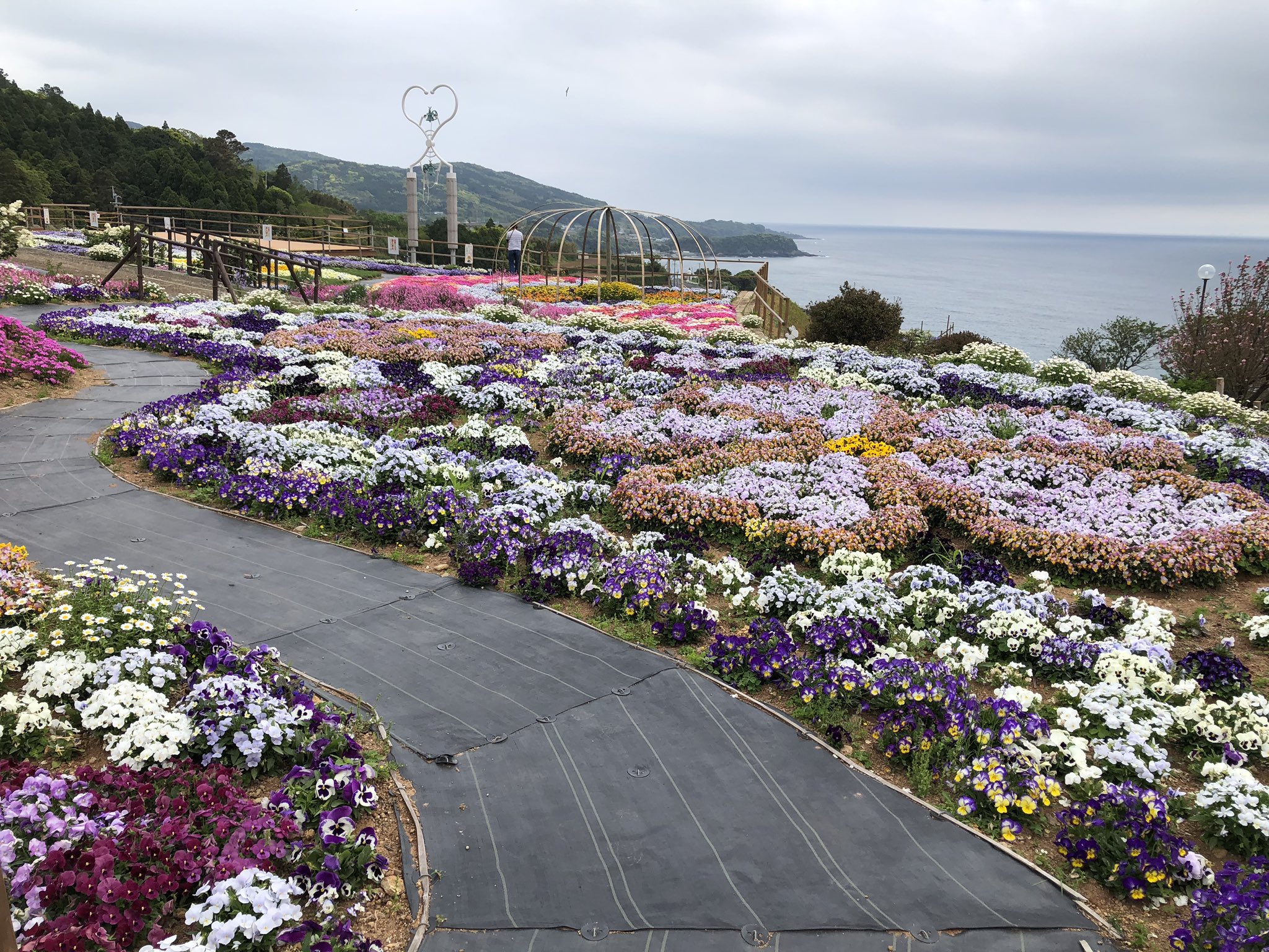 夢追い長島花フェスタ Twitter Search Twitter