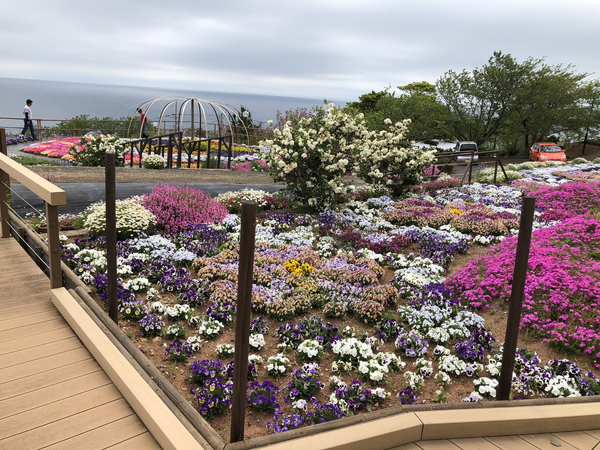 夢追い長島花フェスタ Twitter Search Twitter