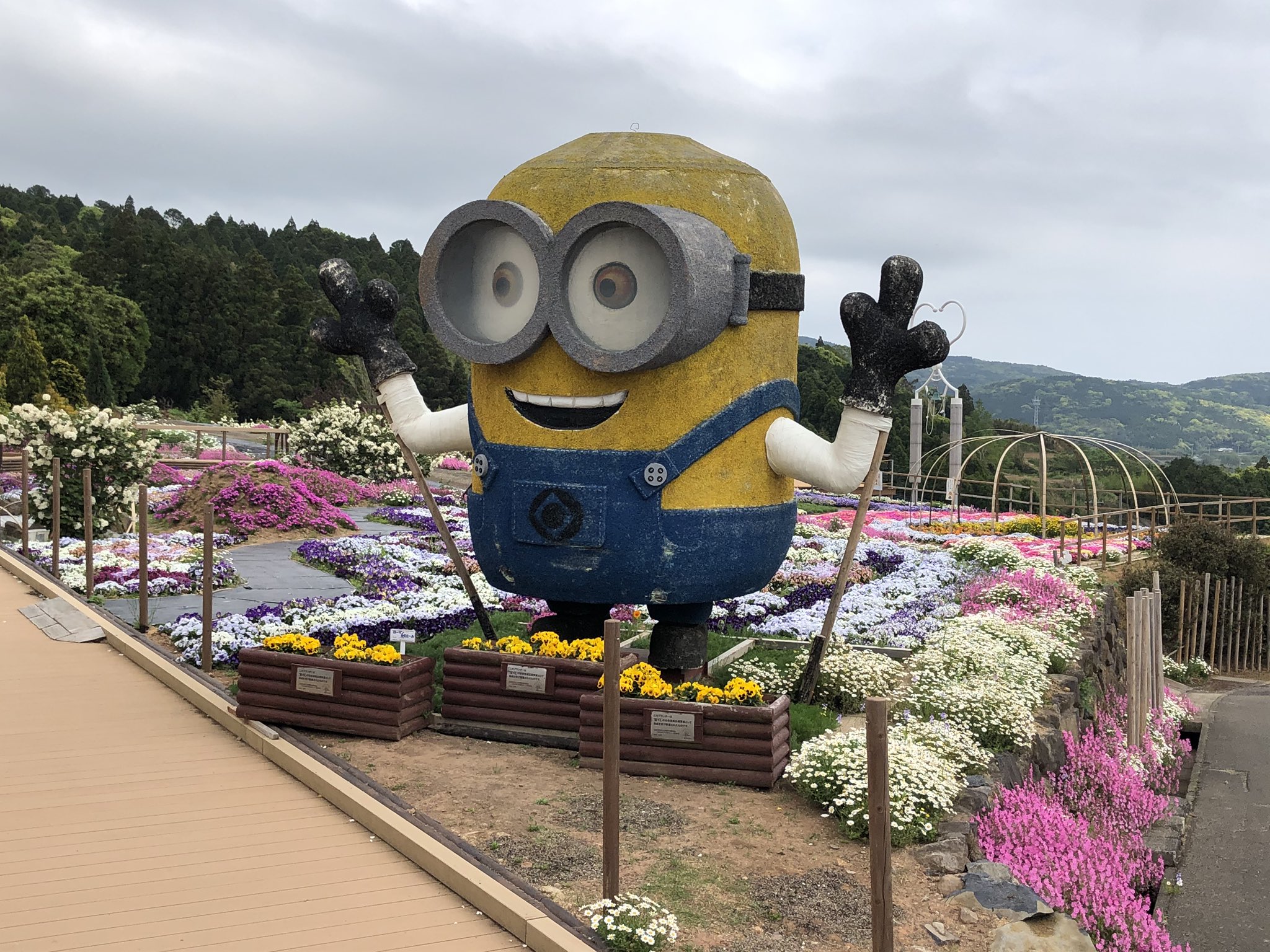 夢追い長島花フェスタ Twitter Search Twitter