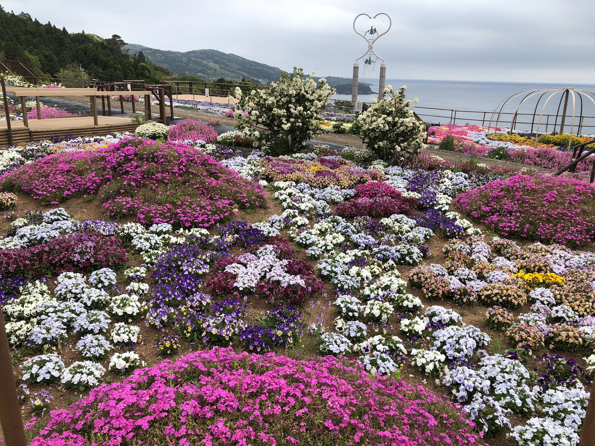 夢追い長島花フェスタ Twitter Search Twitter