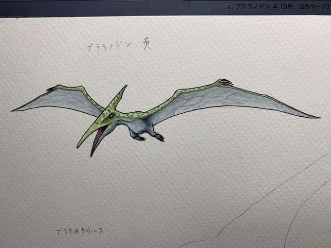 恐竜イラストのtwitterイラスト検索結果 古い順